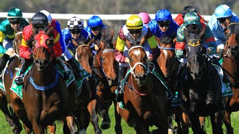 jockey challenge leaderboard today|Jockey Challenge (Results, Odds & Points) .